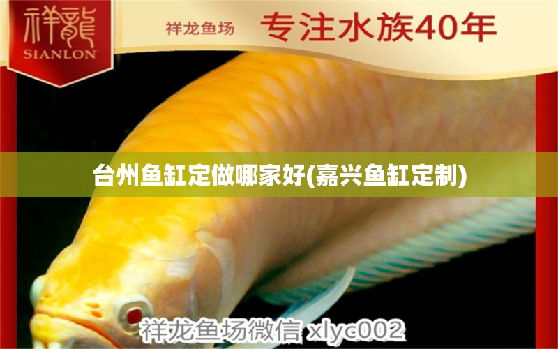 臺(tái)州魚缸定做哪家好(嘉興魚缸定制) 皇冠黑白魟魚