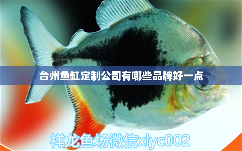 臺州魚缸定制公司有哪些品牌好一點