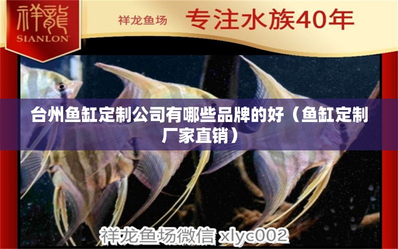 臺(tái)州魚(yú)缸定制公司有哪些品牌的好（魚(yú)缸定制廠家直銷）