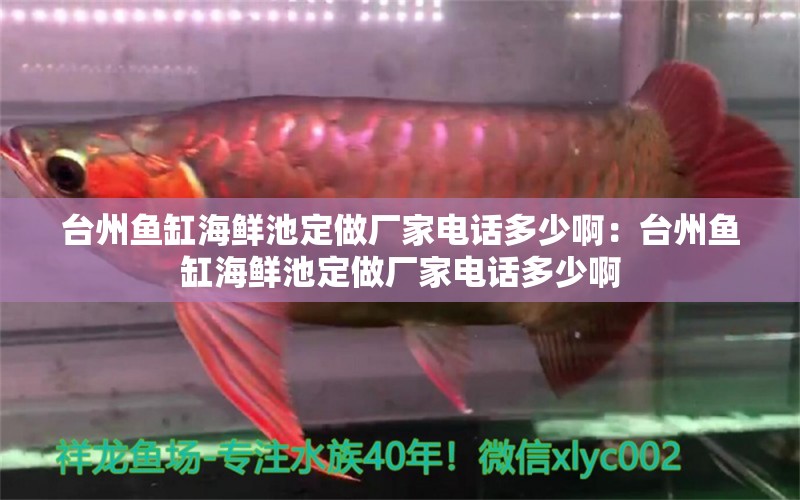 臺(tái)州魚缸海鮮池定做廠家電話多少?。号_(tái)州魚缸海鮮池定做廠家電話多少啊