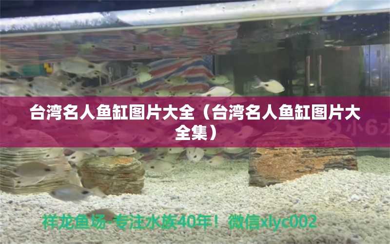 臺灣名人魚缸圖片大全（臺灣名人魚缸圖片大全集）