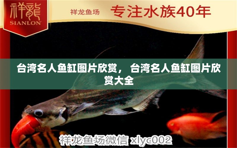 臺灣名人魚缸圖片欣賞， 臺灣名人魚缸圖片欣賞大全