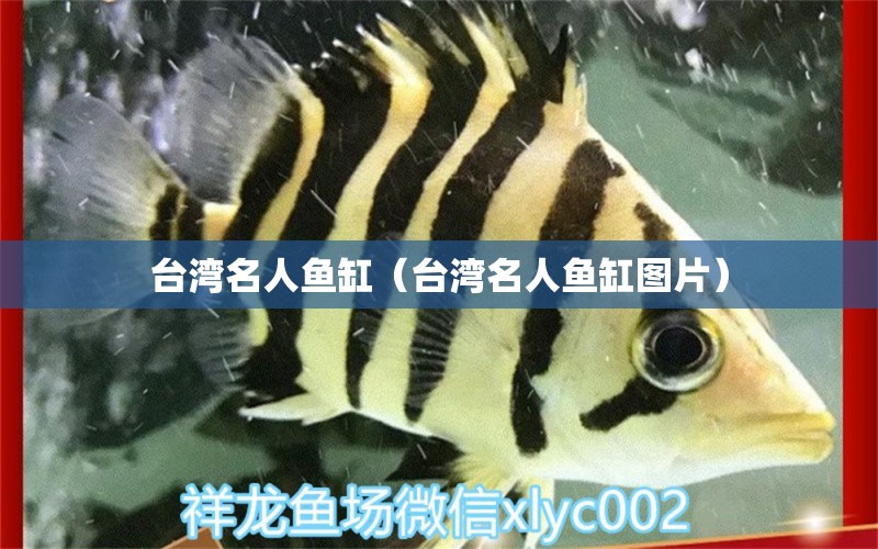 臺灣名人魚缸（臺灣名人魚缸圖片）