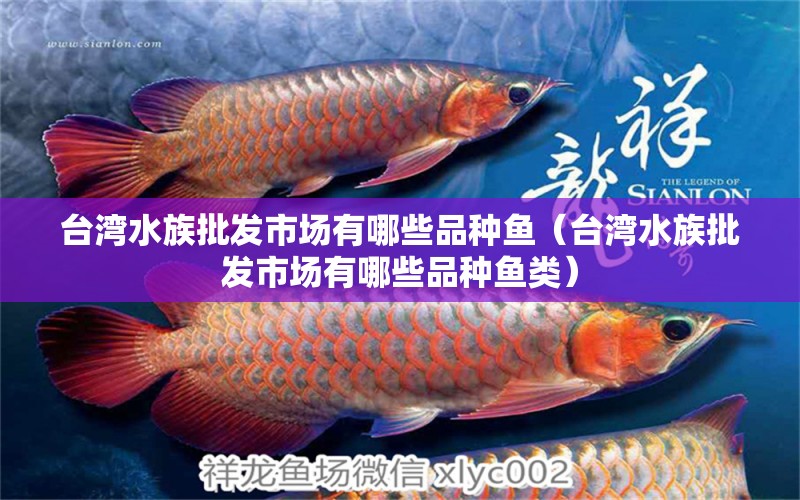 臺(tái)灣水族批發(fā)市場(chǎng)有哪些品種魚（臺(tái)灣水族批發(fā)市場(chǎng)有哪些品種魚類） 觀賞魚水族批發(fā)市場(chǎng)