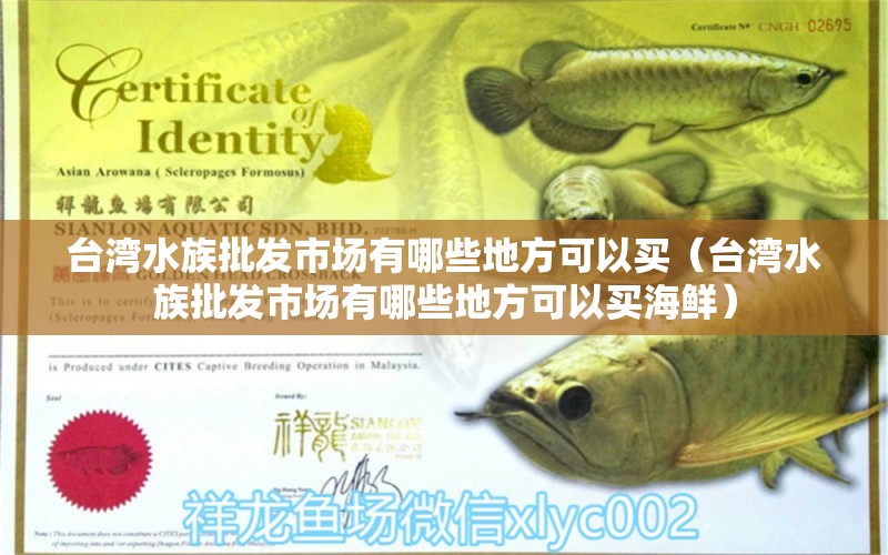 臺灣水族批發(fā)市場有哪些地方可以買（臺灣水族批發(fā)市場有哪些地方可以買海鮮）