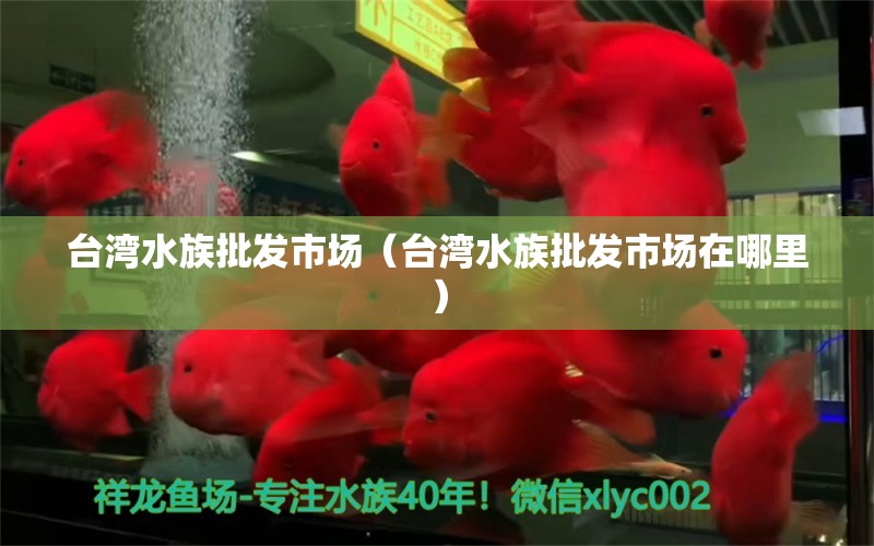 臺(tái)灣水族批發(fā)市場（臺(tái)灣水族批發(fā)市場在哪里） 觀賞魚水族批發(fā)市場