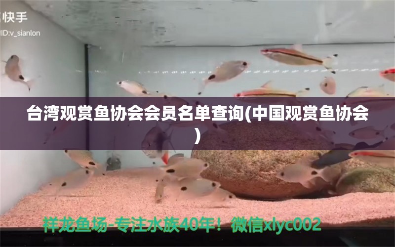 臺(tái)灣觀賞魚協(xié)會(huì)會(huì)員名單查詢(中國觀賞魚協(xié)會(huì)) 魟魚百科