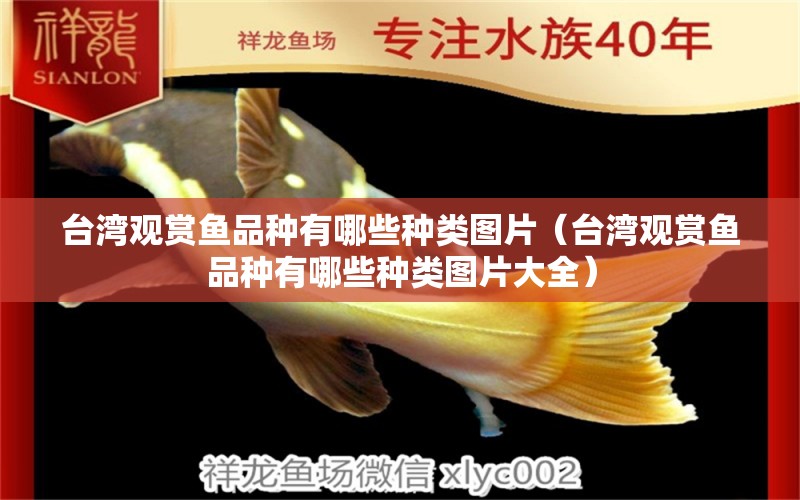 臺灣觀賞魚品種有哪些種類圖片（臺灣觀賞魚品種有哪些種類圖片大全）