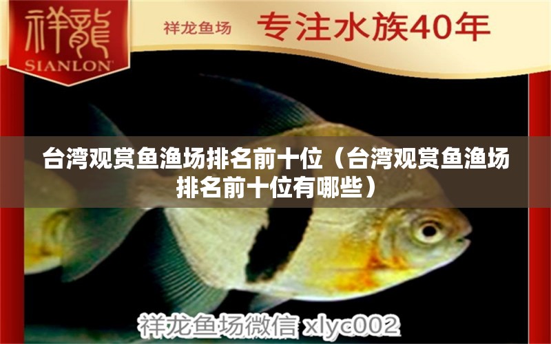 臺灣觀賞魚漁場排名前十位（臺灣觀賞魚漁場排名前十位有哪些）