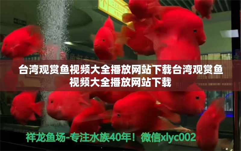 臺(tái)灣觀賞魚視頻大全播放網(wǎng)站下載臺(tái)灣觀賞魚視頻大全播放網(wǎng)站下載 泰國(guó)雪鯽魚