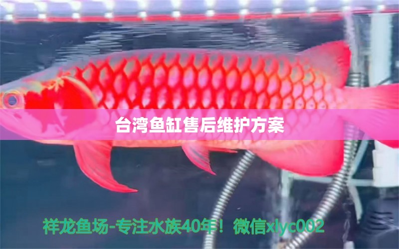 臺(tái)灣魚(yú)缸售后維護(hù)方案