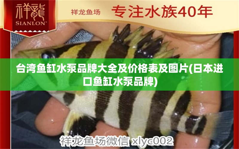 臺灣魚缸水泵品牌大全及價格表及圖片(日本進口魚缸水泵品牌) 魚缸水泵 第1張