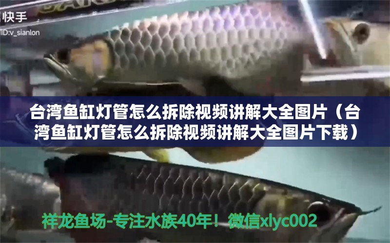 臺灣魚缸燈管怎么拆除視頻講解大全圖片（臺灣魚缸燈管怎么拆除視頻講解大全圖片下載） 祥龍水族醫(yī)院