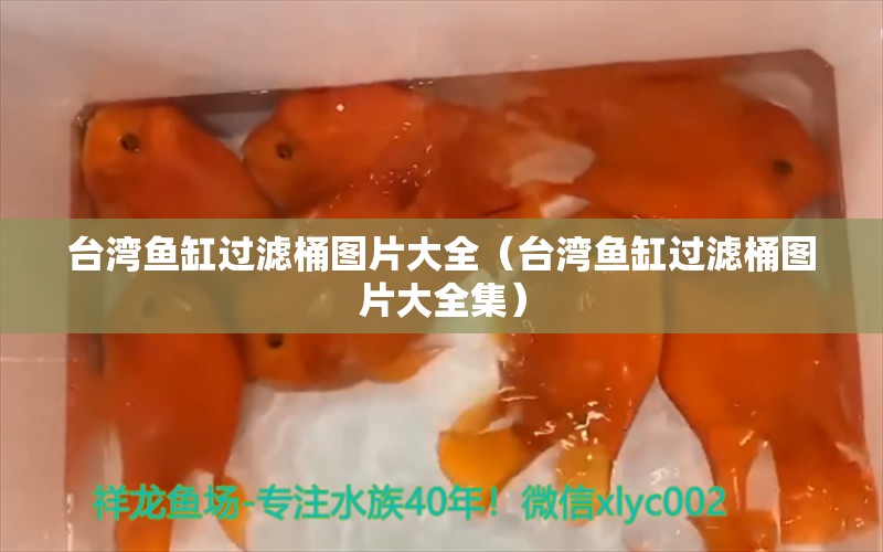 臺灣魚缸過濾桶圖片大全（臺灣魚缸過濾桶圖片大全集） 祥龍魚場