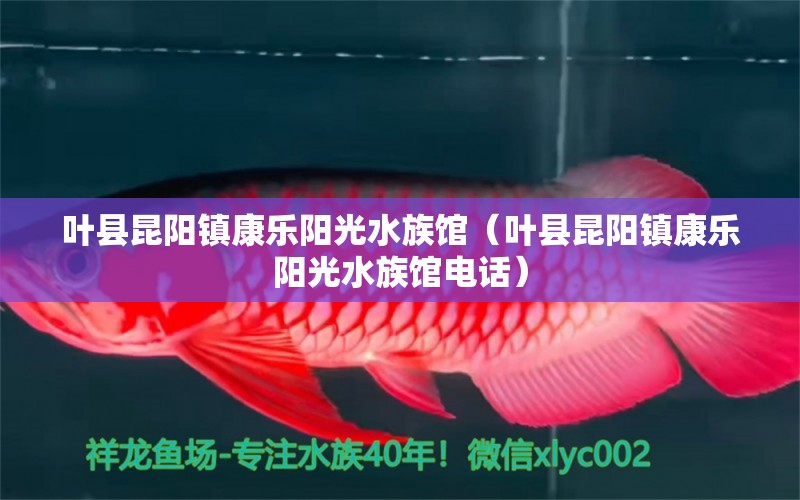 葉縣昆陽鎮(zhèn)康樂陽光水族館（葉縣昆陽鎮(zhèn)康樂陽光水族館電話） 全國水族館企業(yè)名錄