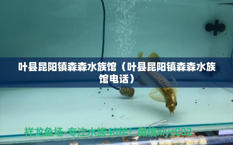 葉縣昆陽鎮(zhèn)森森水族館（葉縣昆陽鎮(zhèn)森森水族館電話） 全國水族館企業(yè)名錄