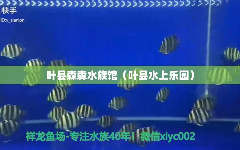 葉縣森森水族館（葉縣水上樂園）