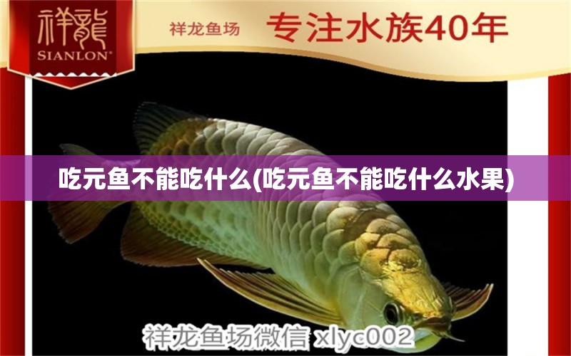 吃元魚不能吃什么(吃元魚不能吃什么水果) 白子銀龍苗（黃化銀龍苗）