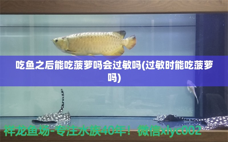 吃魚之后能吃菠蘿嗎會過敏嗎(過敏時能吃菠蘿嗎) 刀魚魚