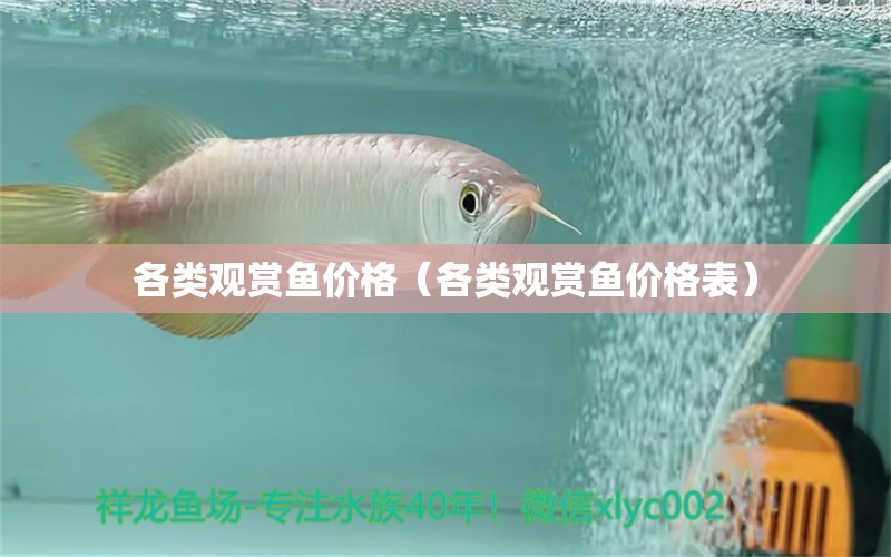 各類觀賞魚(yú)價(jià)格（各類觀賞魚(yú)價(jià)格表） 祥龍水族醫(yī)院