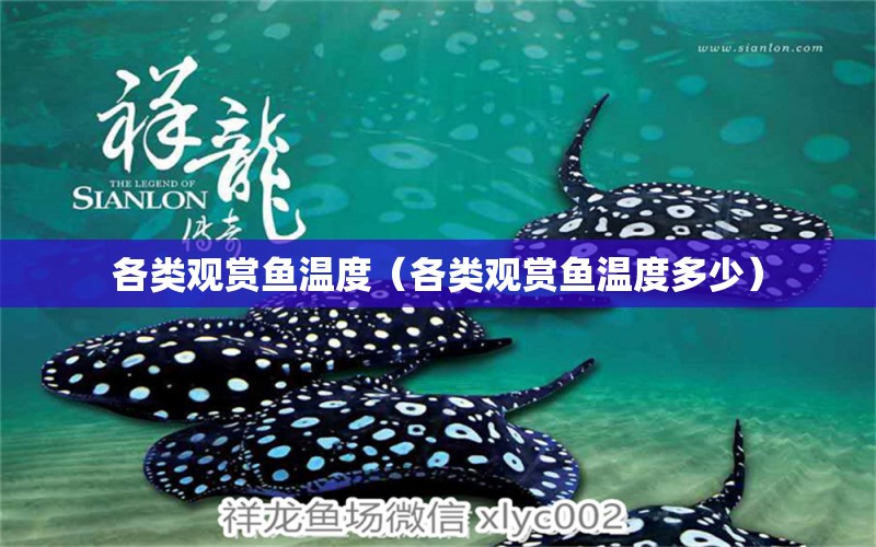 各類觀賞魚溫度（各類觀賞魚溫度多少） 過背金龍魚