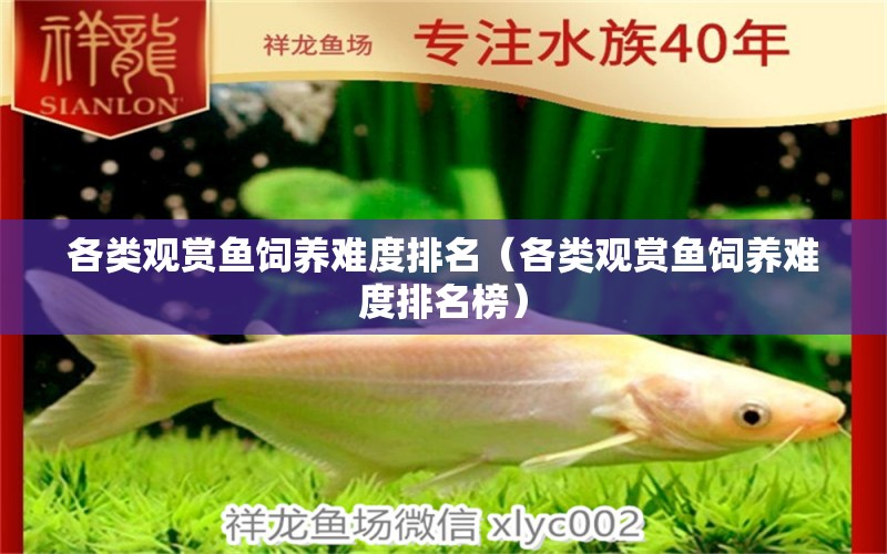 各類觀賞魚飼養(yǎng)難度排名（各類觀賞魚飼養(yǎng)難度排名榜） 紅龍專用魚糧飼料