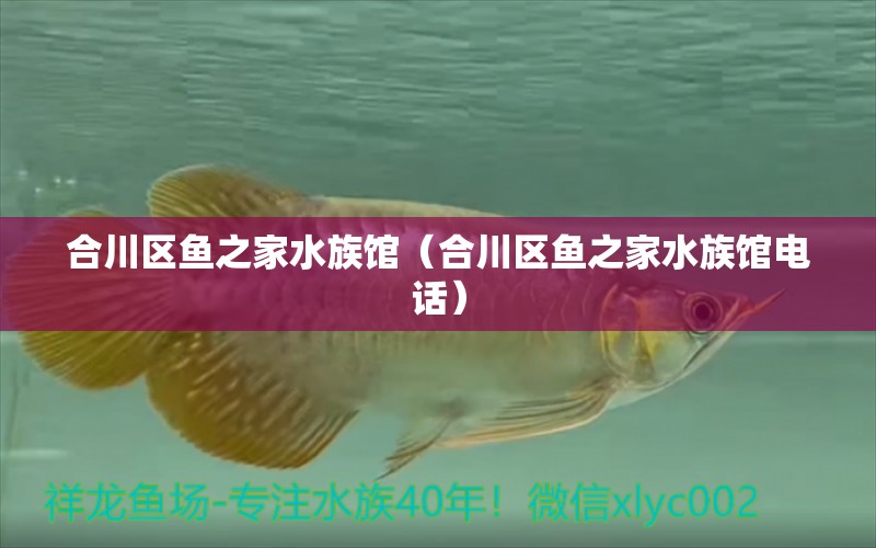 合川區(qū)魚之家水族館（合川區(qū)魚之家水族館電話）