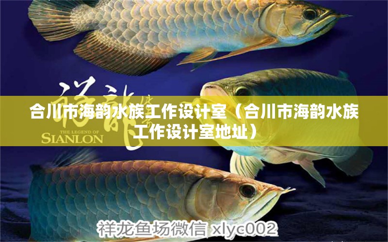 合川市海韻水族工作設(shè)計(jì)室（合川市海韻水族工作設(shè)計(jì)室地址）