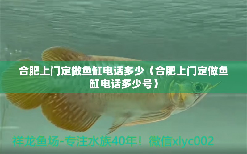 合肥上門定做魚缸電話多少（合肥上門定做魚缸電話多少號）