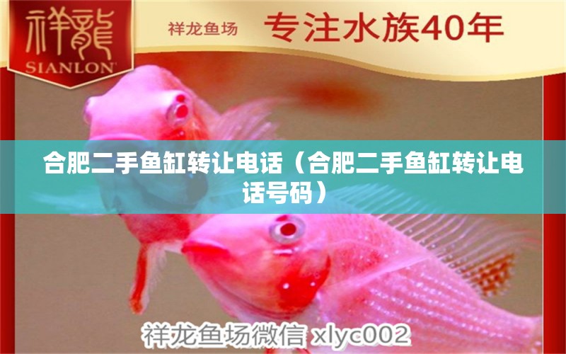 合肥二手魚(yú)缸轉(zhuǎn)讓電話（合肥二手魚(yú)缸轉(zhuǎn)讓電話號(hào)碼） 祥龍水族醫(yī)院