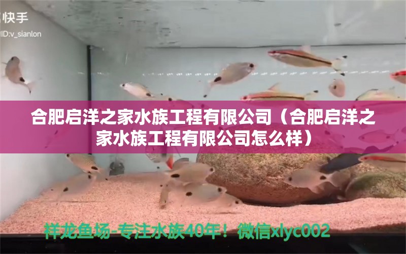 合肥啟洋之家水族工程有限公司（合肥啟洋之家水族工程有限公司怎么樣）