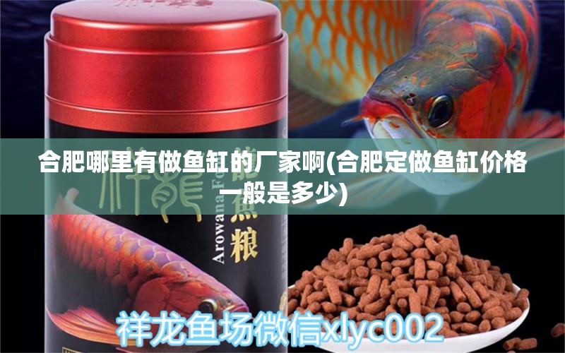 合肥哪里有做魚缸的廠家啊(合肥定做魚缸價(jià)格一般是多少) 水族雜談