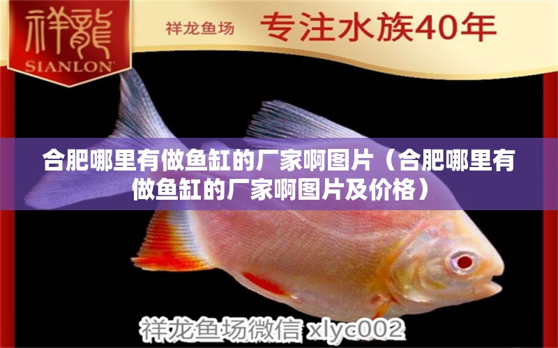 合肥哪里有做魚缸的廠家啊圖片（合肥哪里有做魚缸的廠家啊圖片及價格） 祥龍水族醫(yī)院