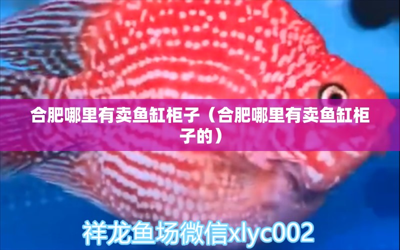 合肥哪里有賣魚缸柜子（合肥哪里有賣魚缸柜子的）