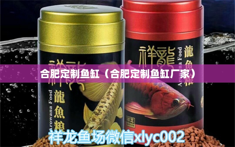 合肥定制魚(yú)缸（合肥定制魚(yú)缸廠家） 其他品牌魚(yú)缸