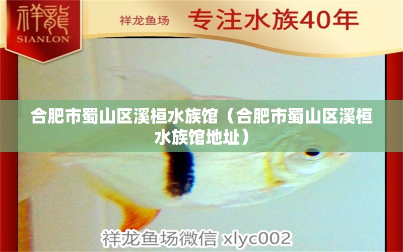 合肥市蜀山區(qū)溪桓水族館（合肥市蜀山區(qū)溪桓水族館地址）