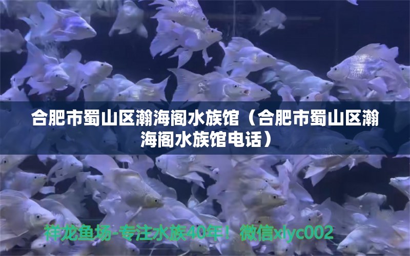 合肥市蜀山區(qū)瀚海閣水族館（合肥市蜀山區(qū)瀚海閣水族館電話）