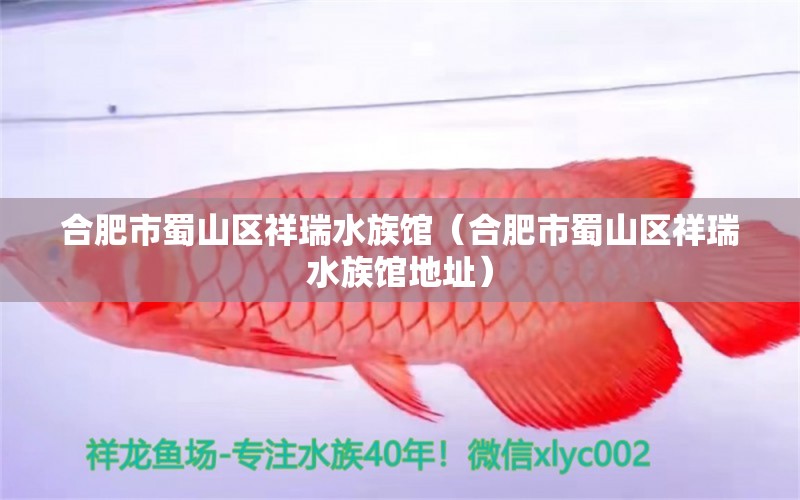 合肥市蜀山區(qū)祥瑞水族館（合肥市蜀山區(qū)祥瑞水族館地址）