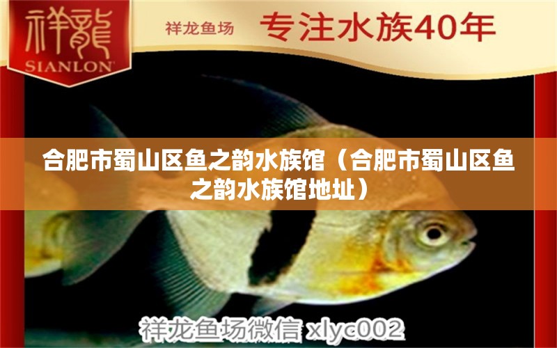 合肥市蜀山區(qū)魚之韻水族館（合肥市蜀山區(qū)魚之韻水族館地址）