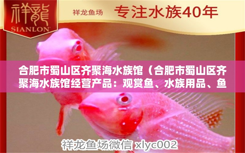 合肥市蜀山區(qū)齊聚海水族館（合肥市蜀山區(qū)齊聚海水族館經(jīng)營(yíng)產(chǎn)品：觀賞魚(yú)、水族用品、魚(yú)缸批發(fā)兼零售及售后服務(wù)） 全國(guó)觀賞魚(yú)市場(chǎng) 第2張