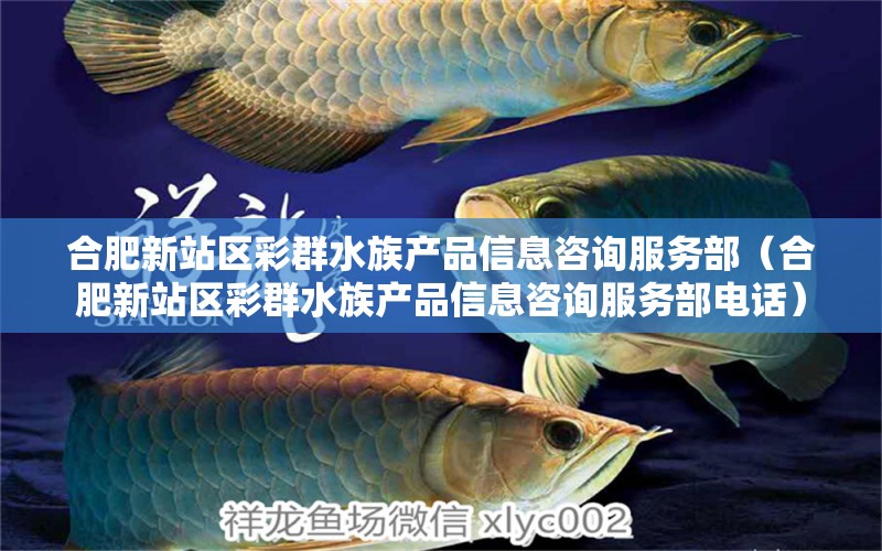 合肥新站區(qū)彩群水族產(chǎn)品信息咨詢服務(wù)部（合肥新站區(qū)彩群水族產(chǎn)品信息咨詢服務(wù)部電話） 全國水族館企業(yè)名錄