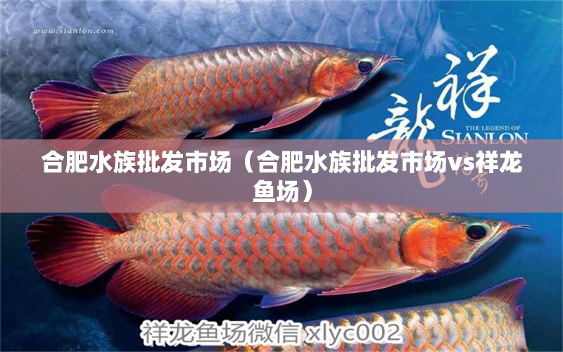 合肥水族批發(fā)市場(chǎng)（合肥水族批發(fā)市場(chǎng)vs祥龍魚場(chǎng)）