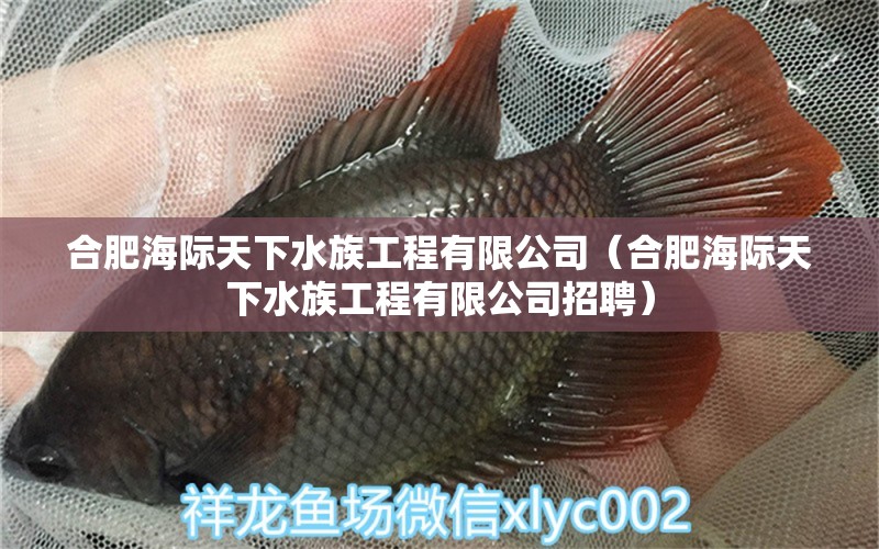 合肥海際天下水族工程有限公司（合肥海際天下水族工程有限公司招聘）