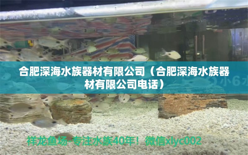 合肥深海水族器材有限公司（合肥深海水族器材有限公司電話）