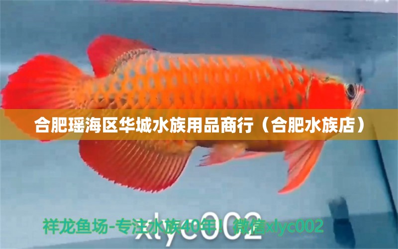 合肥瑤海區(qū)華城水族用品商行（合肥水族店）