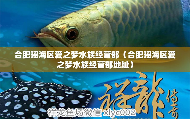 合肥瑤海區(qū)愛(ài)之夢(mèng)水族經(jīng)營(yíng)部（合肥瑤海區(qū)愛(ài)之夢(mèng)水族經(jīng)營(yíng)部地址）