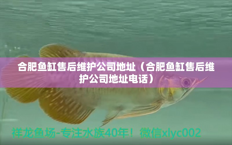 合肥魚缸售后維護公司地址（合肥魚缸售后維護公司地址電話） 其他品牌魚缸