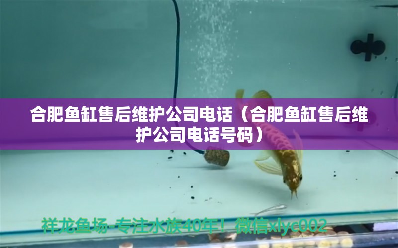 合肥魚(yú)缸售后維護(hù)公司電話（合肥魚(yú)缸售后維護(hù)公司電話號(hào)碼）