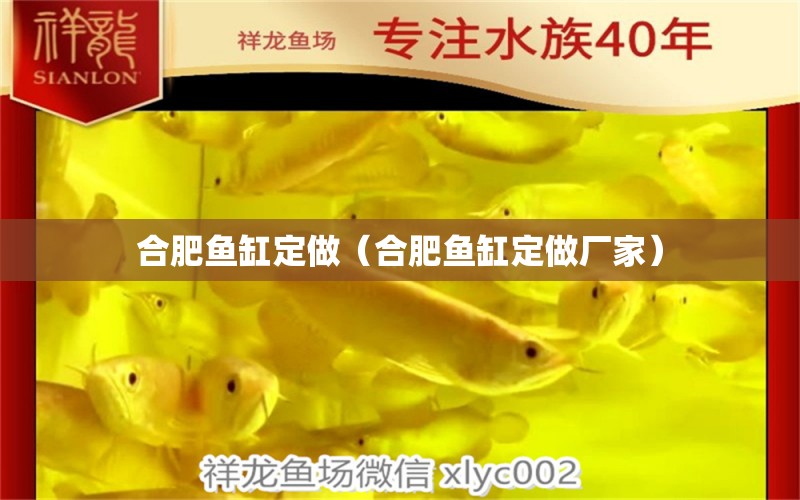 合肥魚缸定做（合肥魚缸定做廠家） 其他品牌魚缸