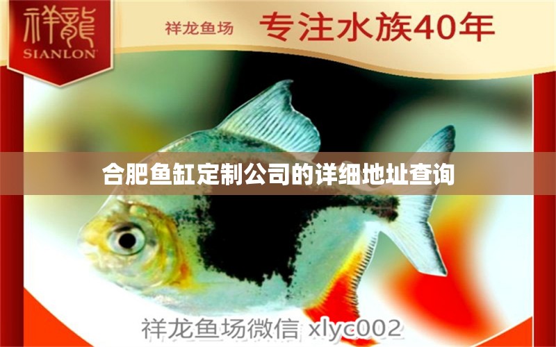 合肥魚缸定制公司的詳細(xì)地址查詢